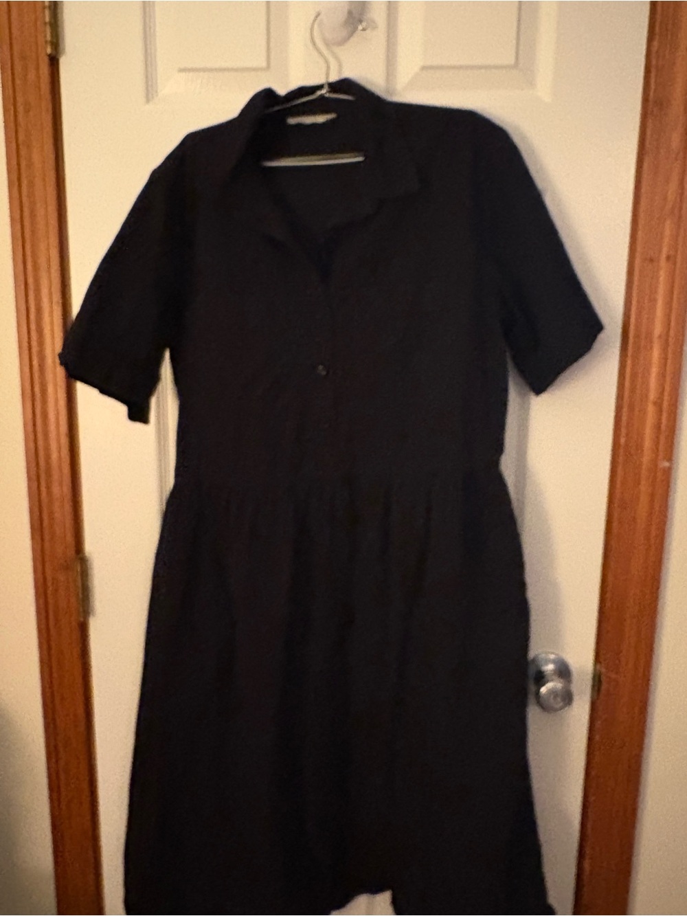 Everlane Black Midi Shirt Dress